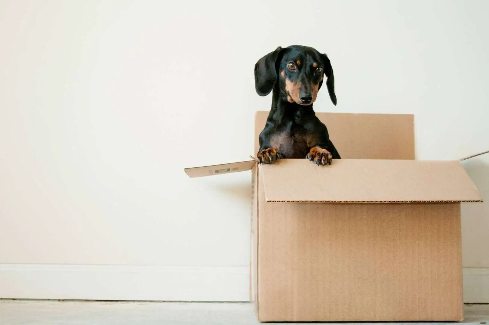 6 Top Tips for a Stress-Free Move