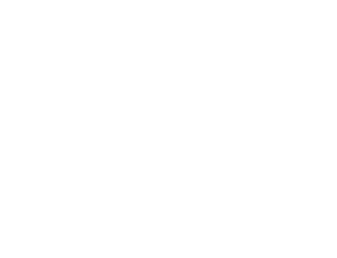 W & W Movers Logo - White