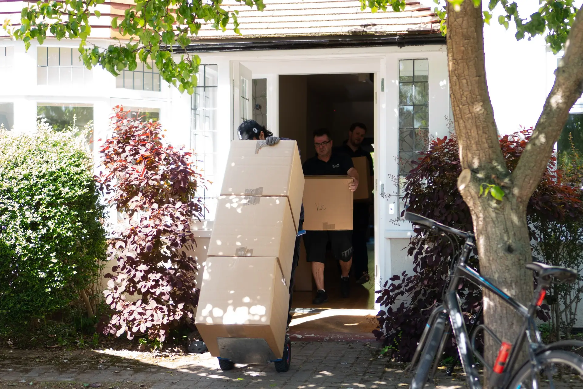 Local Expertise for Efficient Moves